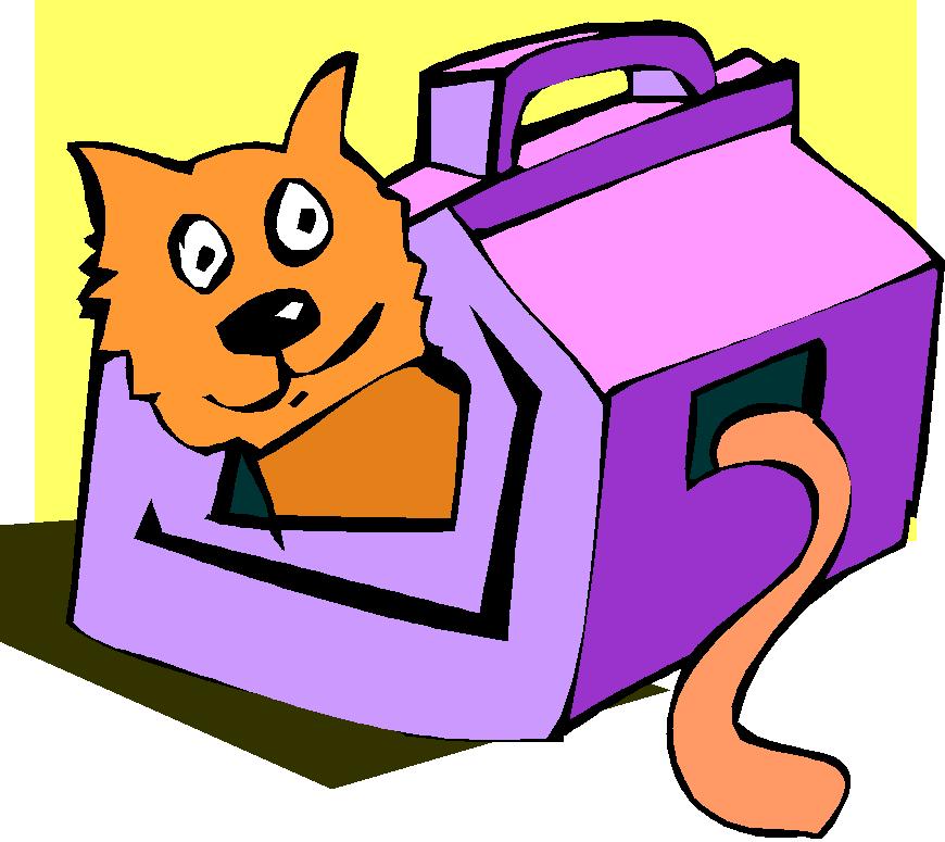 cat in carrier