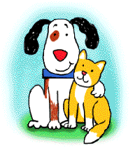 Dog and cat