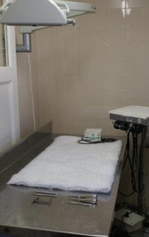 Southern Cross Vets Dental Unit
