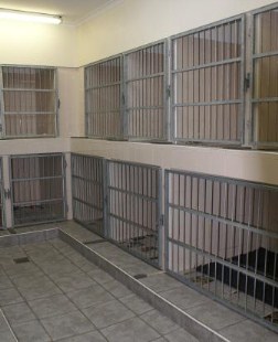 Southern Cross Vets Dog Hospital