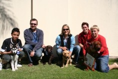 Southern Cross Puppy School Graduation