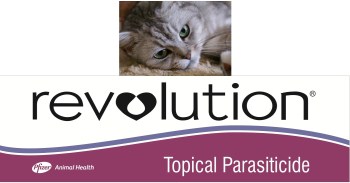 Southern Cross Veterinary Clinic Facebook Photo Contest