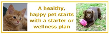 Puppy and Kitten Starter and Wellness Plans