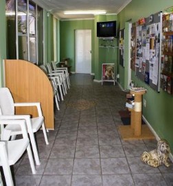 Southern Cross Vets Waiting Room