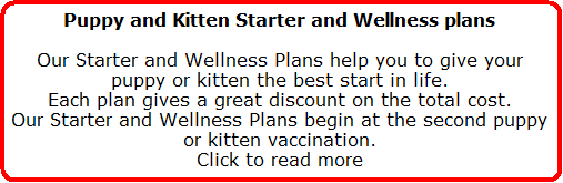 Puppy and Kitten Starter and Wellness Plans