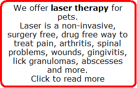 Laser Therapy