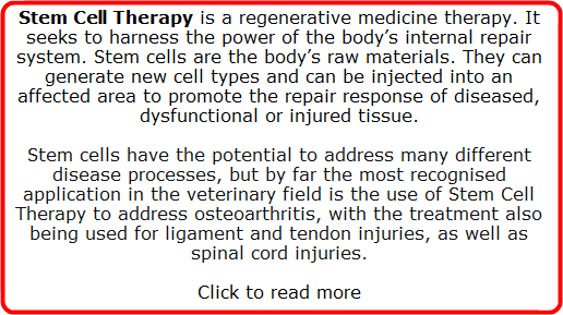 Stem Cell Therapy