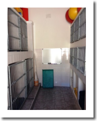 Rehab kennels