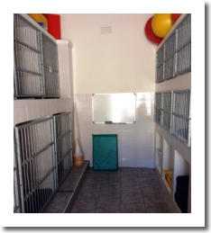 Rehab kennels